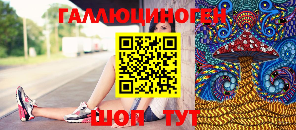 Кингисепп  Псилоцибиновые грибы мицелий  Вход с VPN 